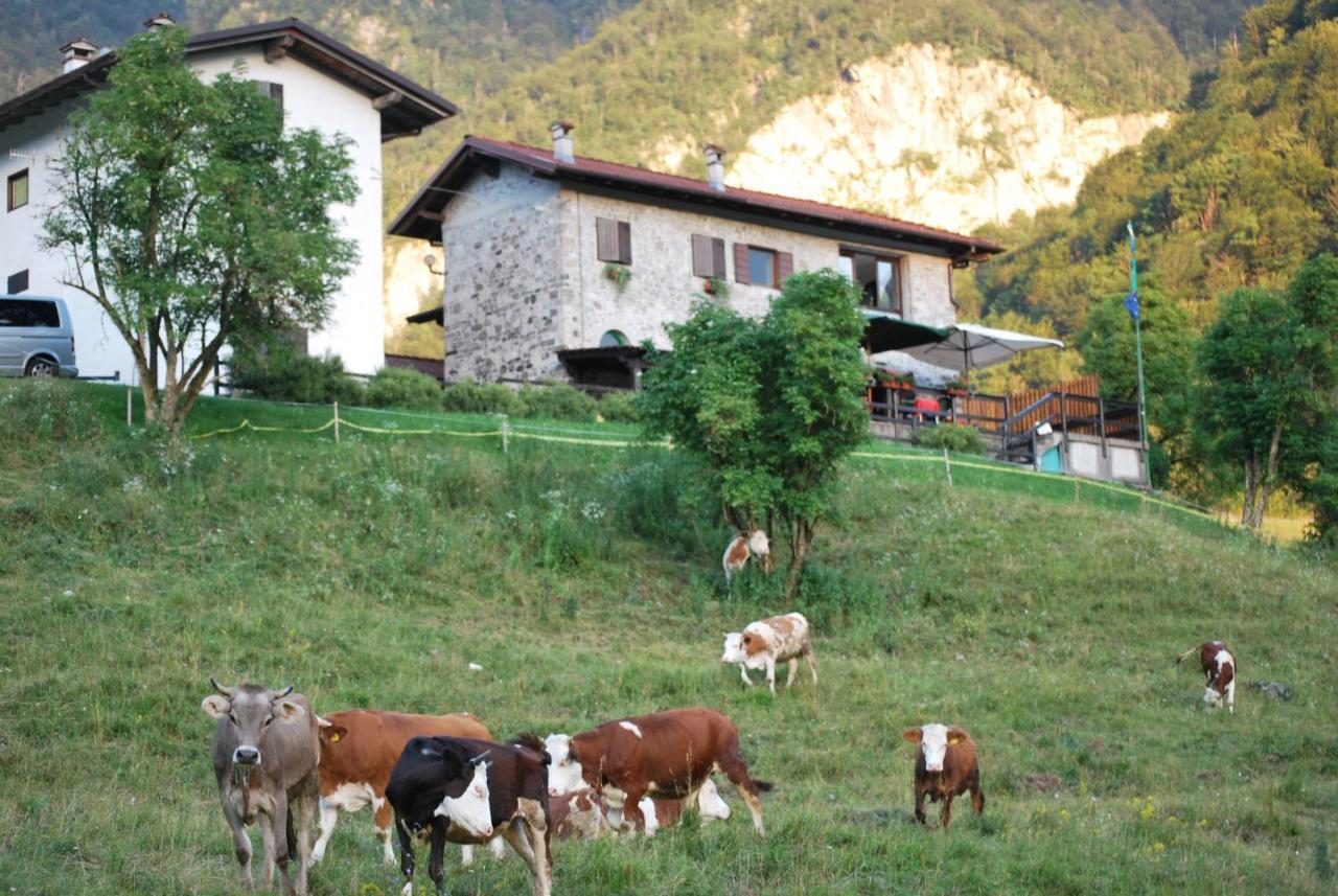 Rifugio Malga Grasia Caprizi Dış mekan fotoğraf